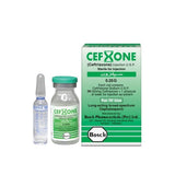 Cefxone Iv Injection 0.25G