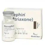Rocephin Iv Injection 1G (1 Box = 1 Injection)