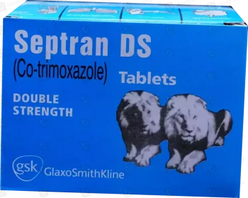 Septran Ds Tablets 160/800Mg (1 Strip = 10 Tablets)